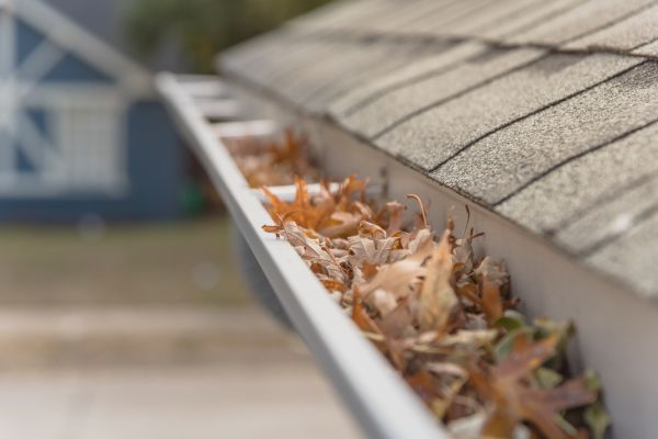 Leaf Barrier Installation in Macon